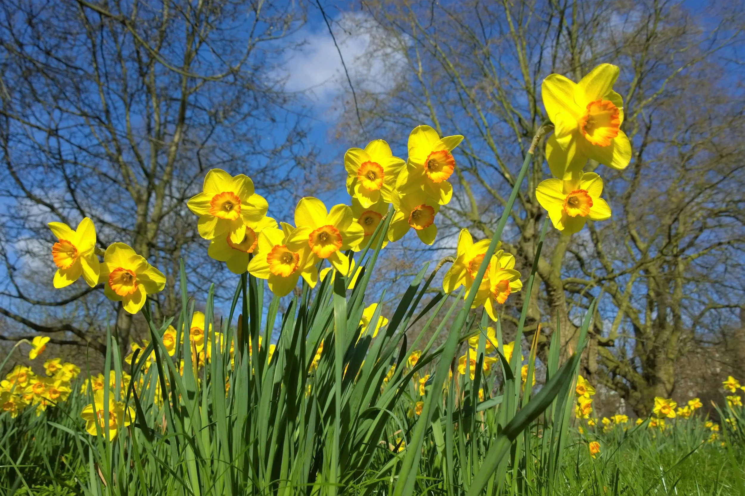 Spring Cleaning for Massage Therapists 