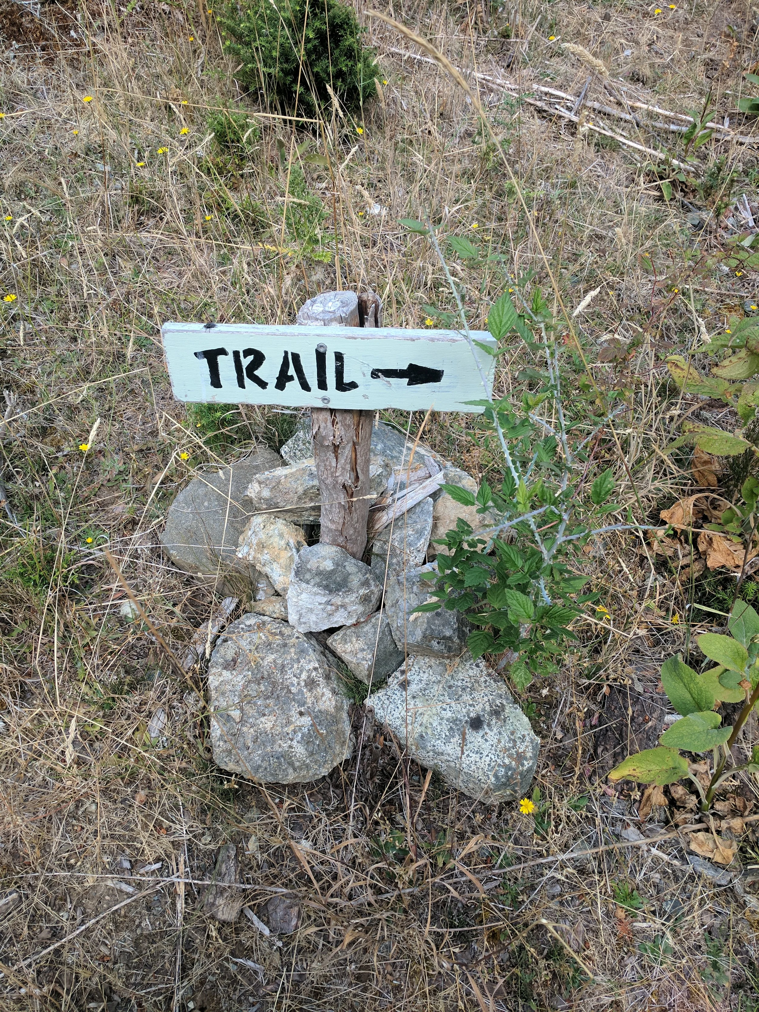 A small wooden sign with the word 'TRAIL' and a right arrow, mounted on a stand made of rocks and wood, in dry grass and sparse vegetation.