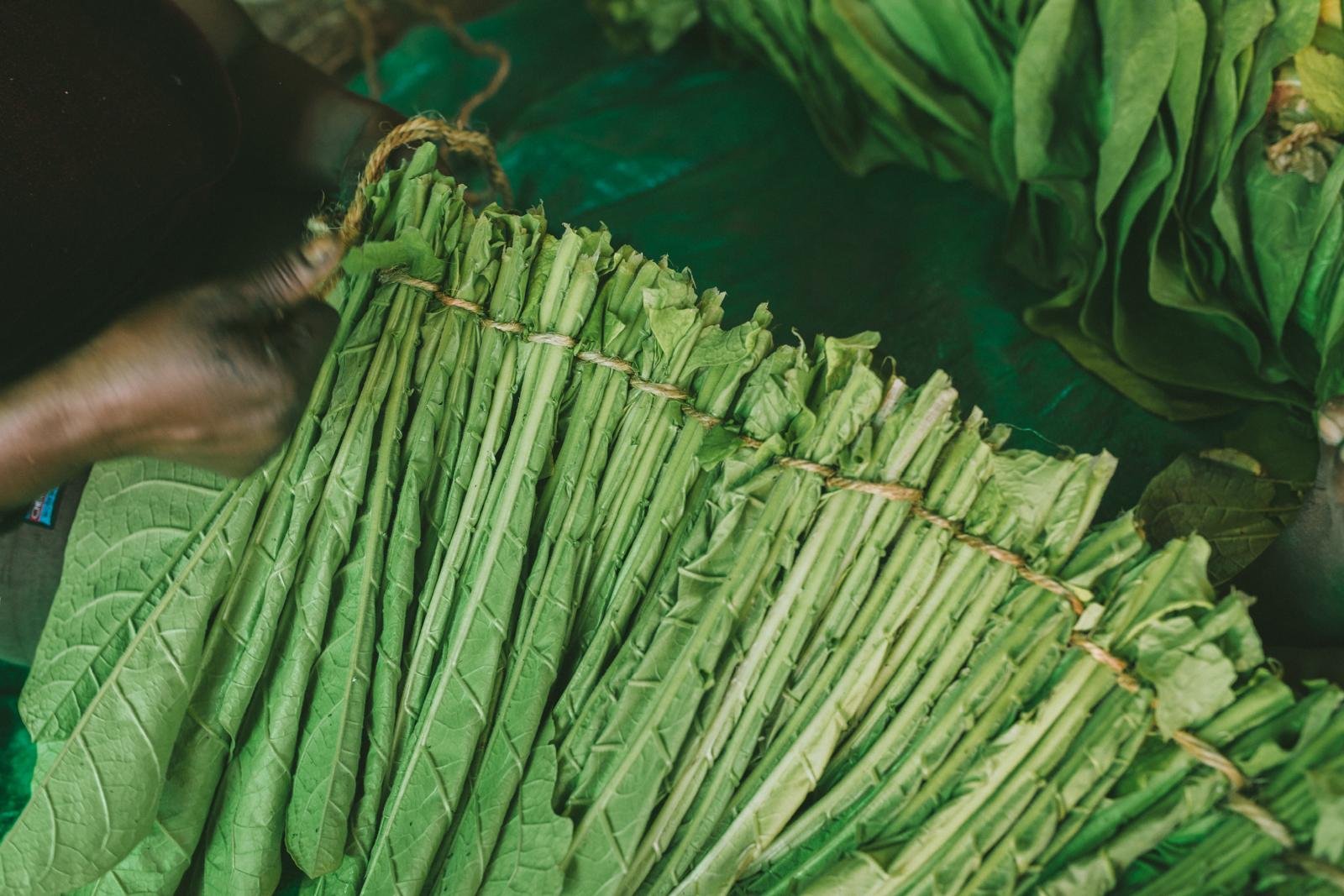 PHOTO-2025-04-16-05-17-10 4.jpg