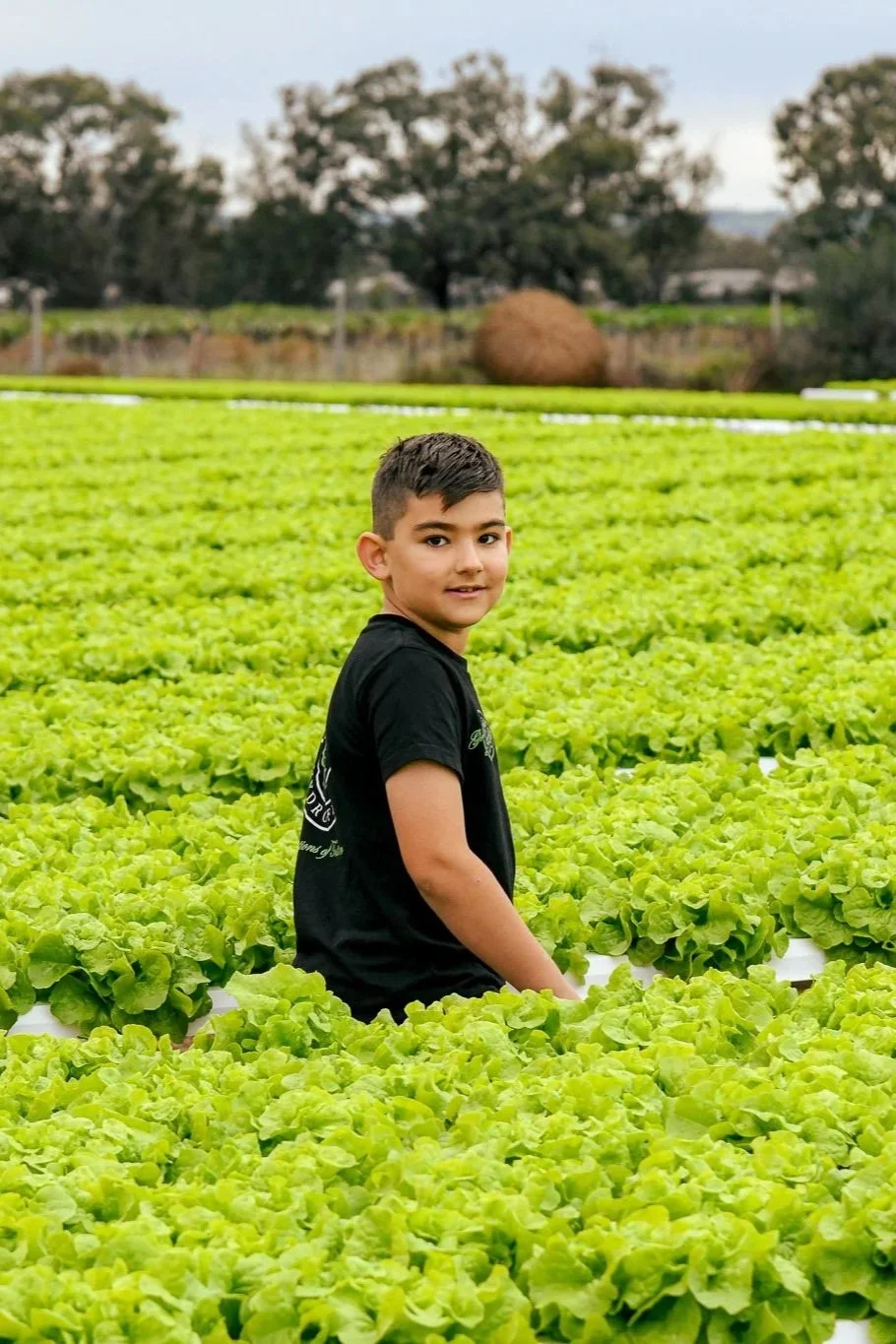 A young boy with short dark hair, wearing a black T-shirt, standing in a lush green lettuce field outdoors during daytime with trees and cloudy sky in the background.