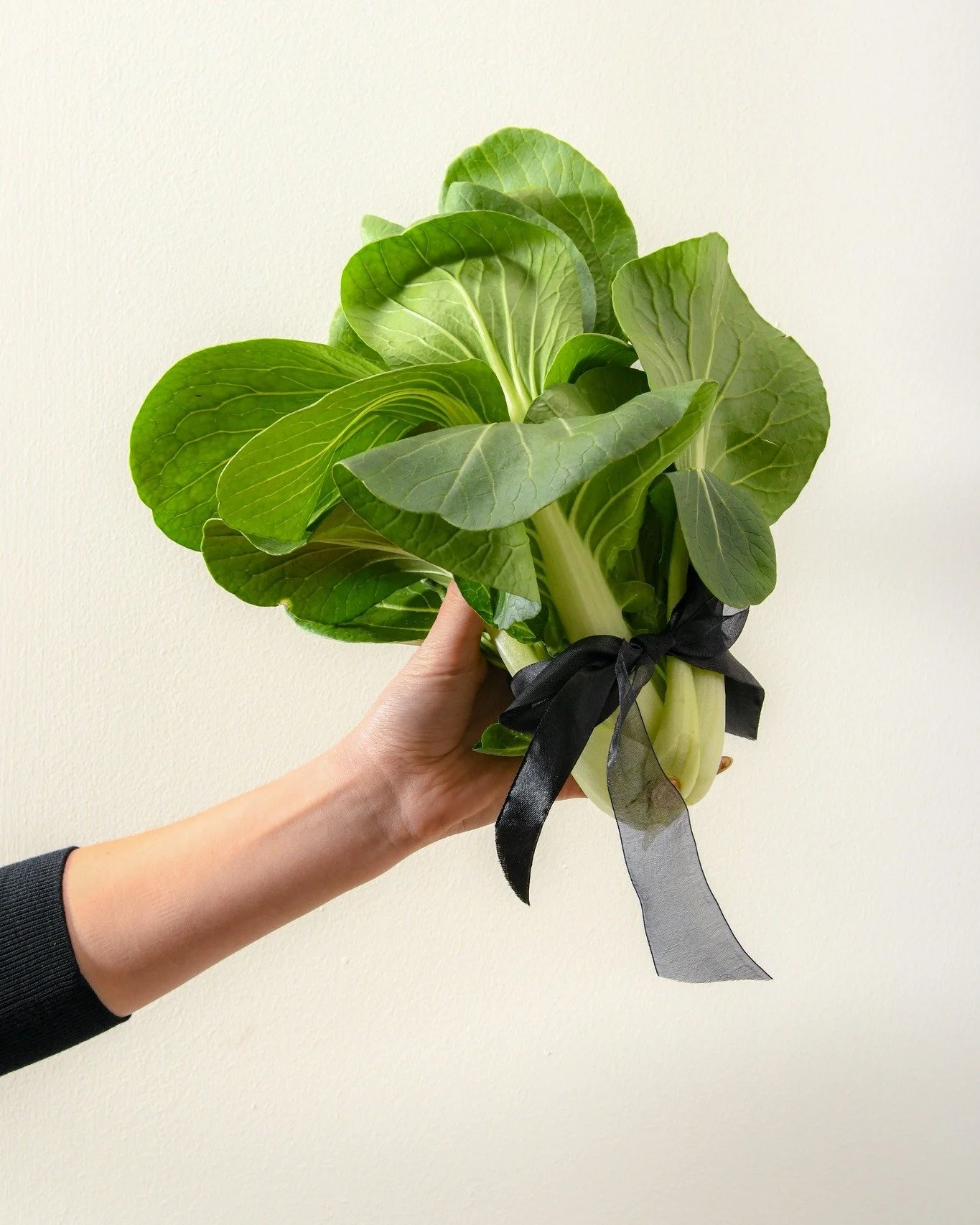 Flowers are nice, but have you tried our bok choy? 🥬 

We might be biased, but we reckon fresh greens make a pretty good bouquet. Especially when they taste this good too.

#AdelaideHydroFresh #FreshProduce #PickALocal