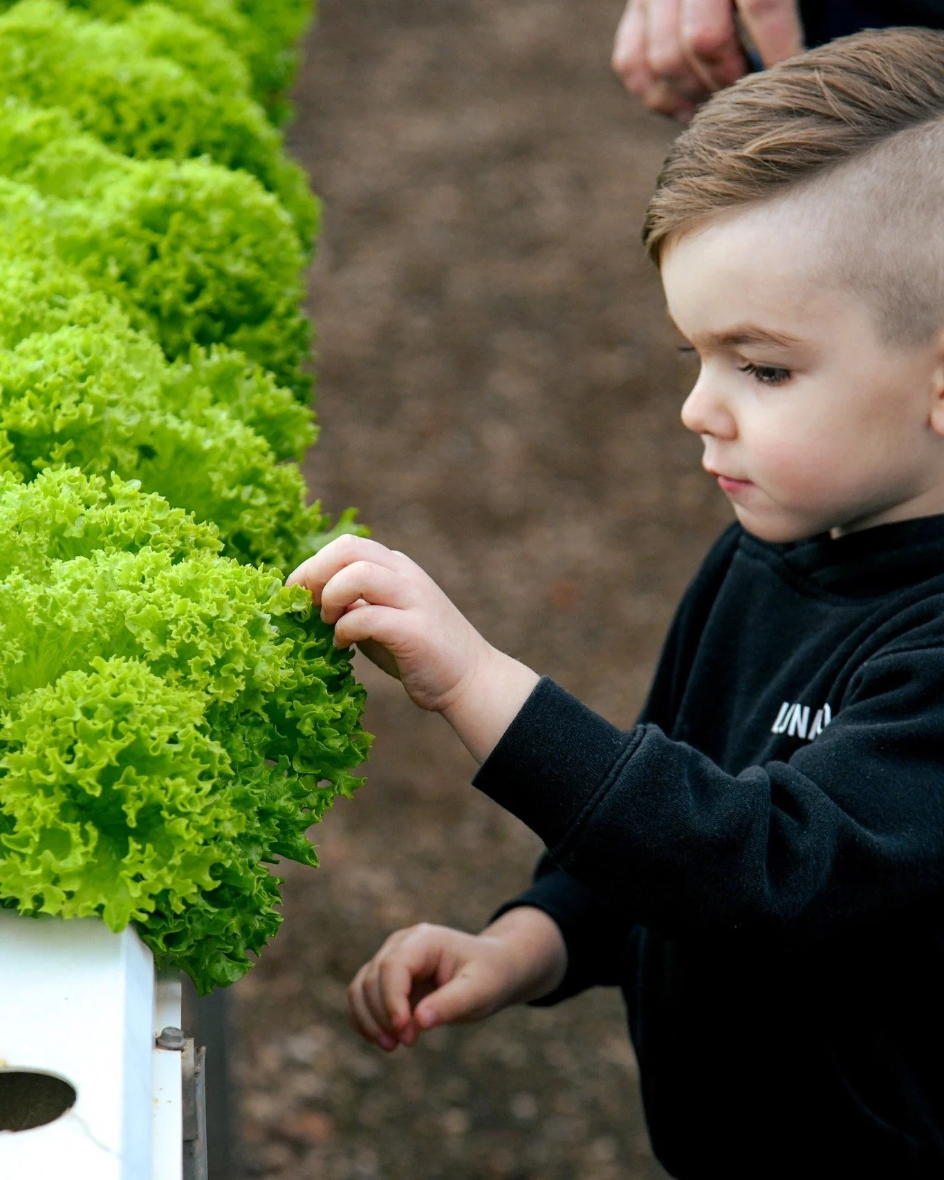 Little moments like these 🌱

Getting to see where your food comes from, how it grows and getting hands-on with it along the way. We love having moments like these around the farm.

#AdelaideHydroFresh #FamilyBusiness #FreshProduce
