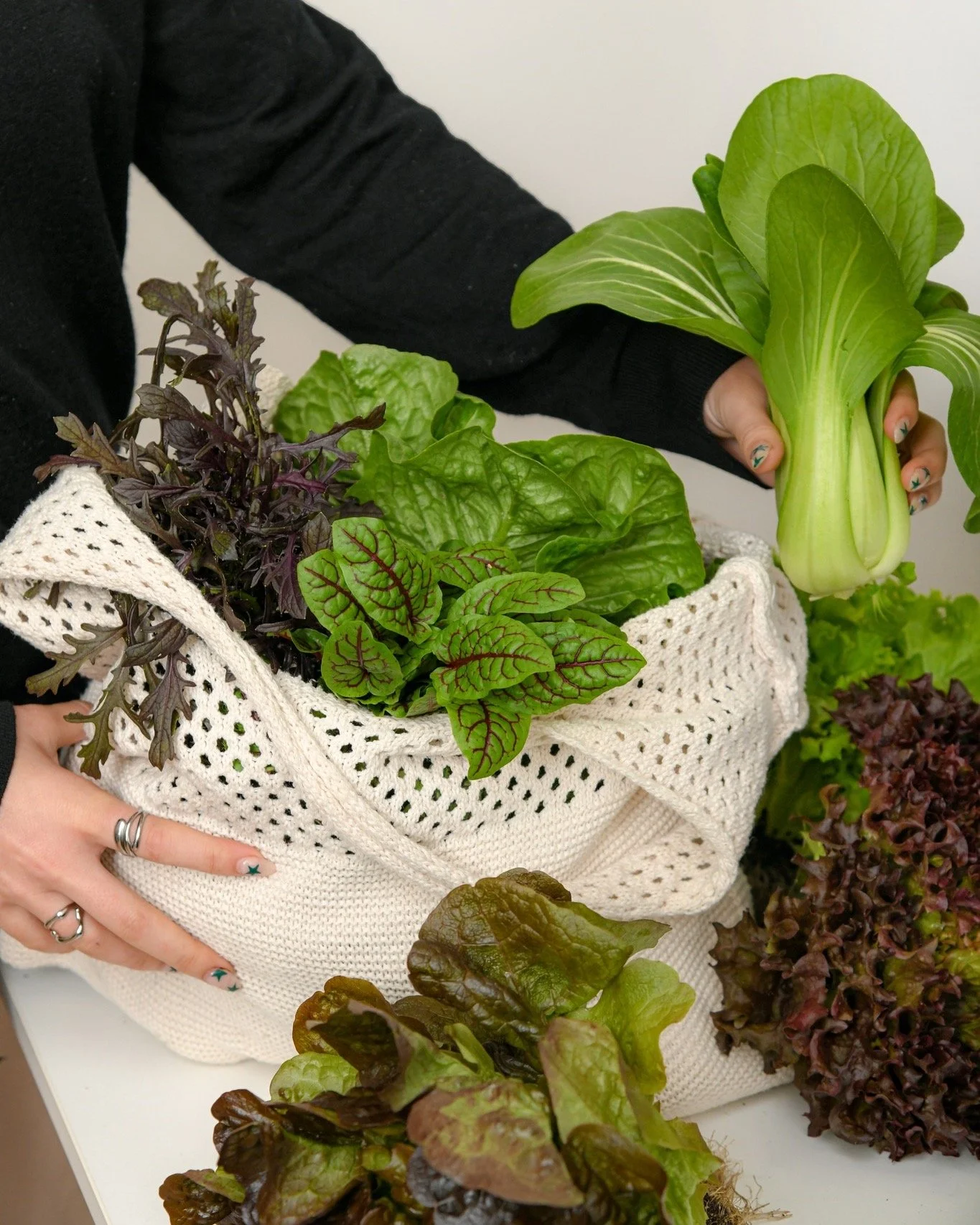 Come unpack our little shopping haul 🧺

Bok choy for tonight&rsquo;s stir-fry, lettuce for tomorrow&rsquo;s lunch, red-vein sorrel to pretty up our side salad, plus a few extra greens that found their way into the bag.

Meal prep sorted🥗

#Adelaide