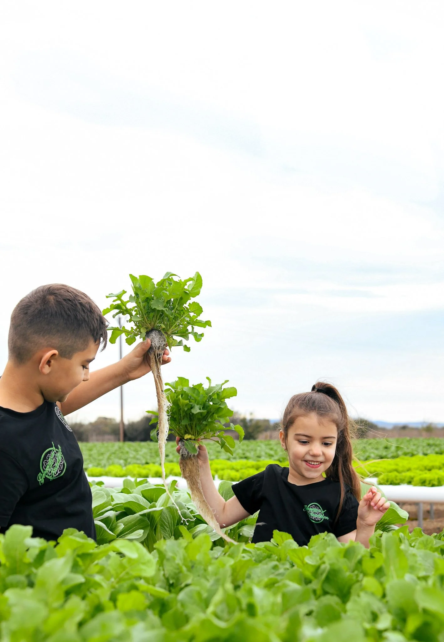 Two children holding up a large radish in a greenhouse with green leafy vegetables and a cloudy sky.