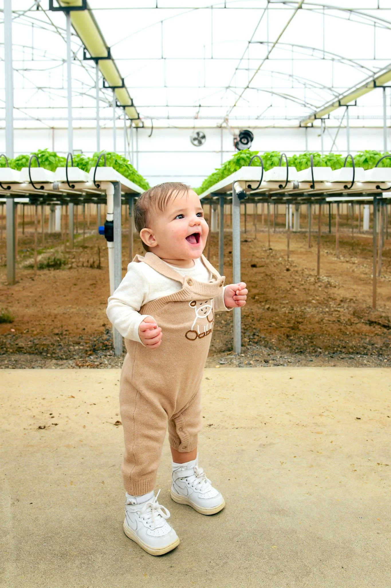 Beautiful toddler looking excited in a greenhouse with rows of green leafy plants growing on elevated trays.