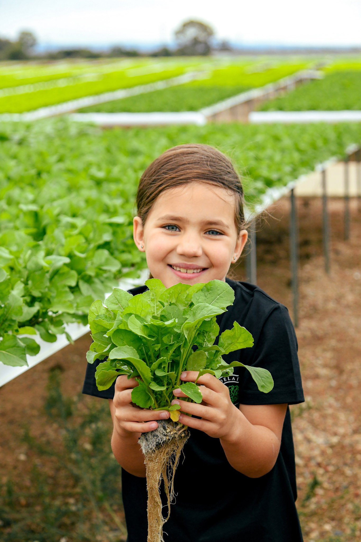 A young girl with blue eyes and brown hair holds a freshly picked green lettuce plant in a farm setting with rows of green plants in the background.