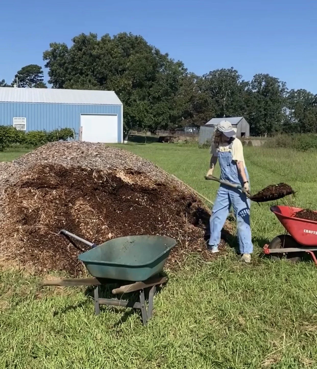 WISHLIST - Wheelbarrow