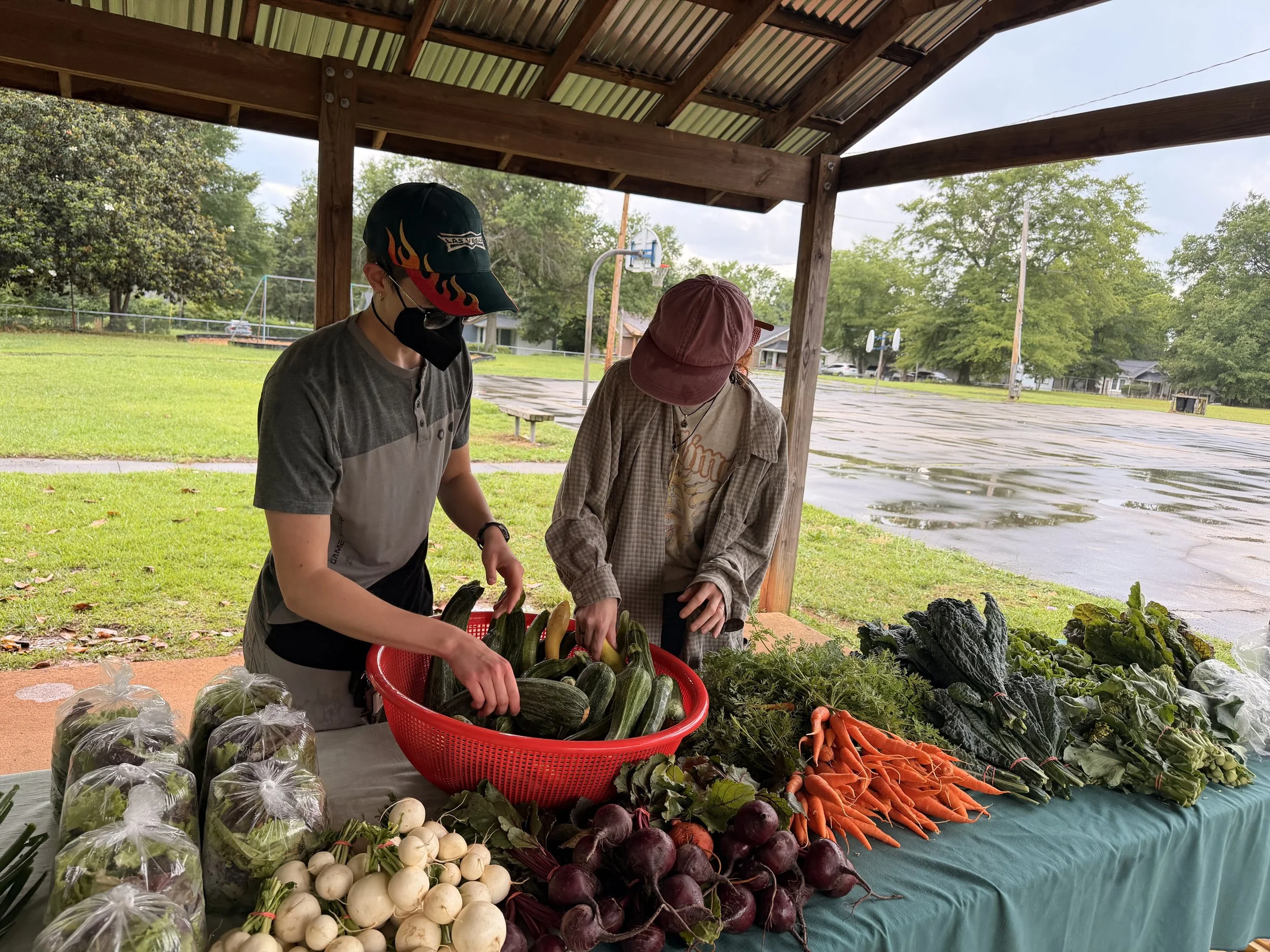 Two people placing squash into a red basket on top of a table containing other various produce items