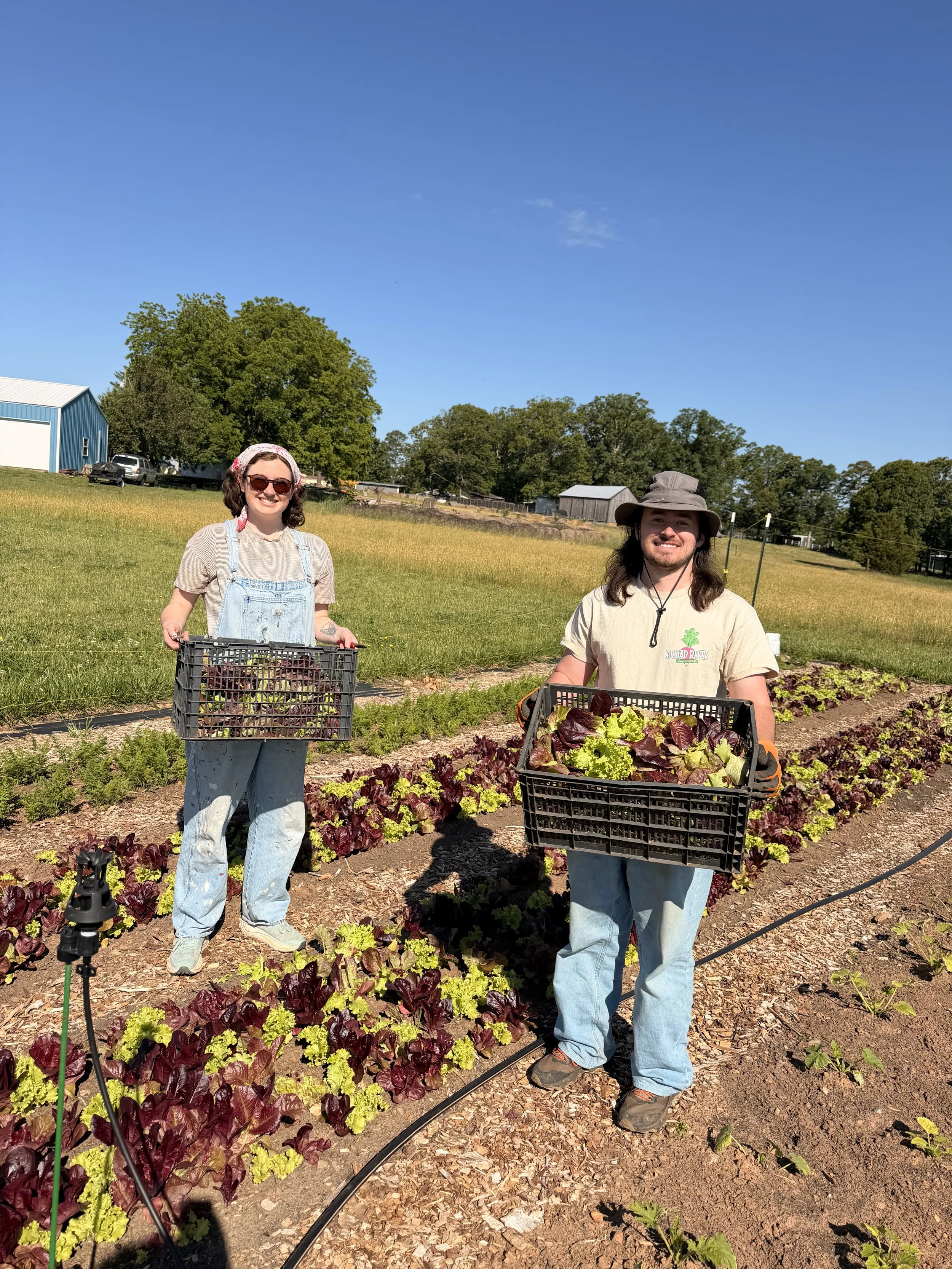 A young woman and young man smiling and standing in a garden holding baskets of lettuce