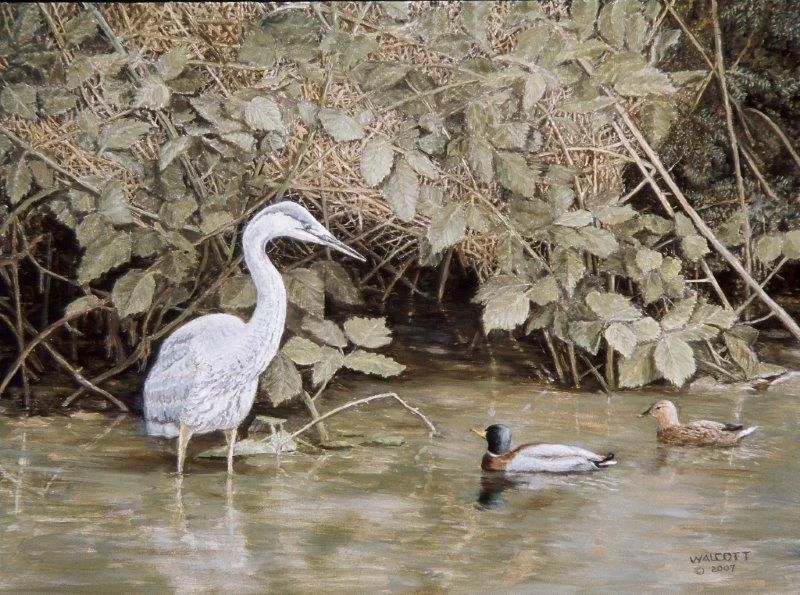  May We Pass Through  oil, 12" x 16"