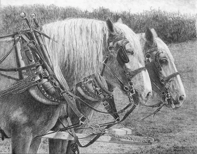  Team Of Two  graphite, 10" x 12.5"