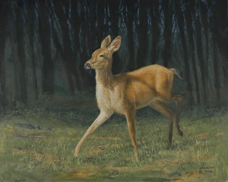  Into the Light  oil, 16" x 20"