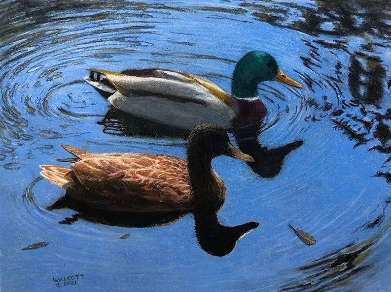  Side by Side  colored pencil, 9" x 12"