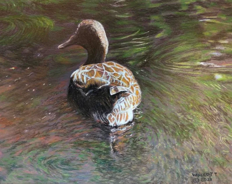  Alone  colored pencil 8" x 10"