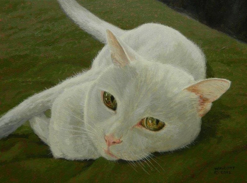  The Eyes Have It  acrylic, 6" x 8"