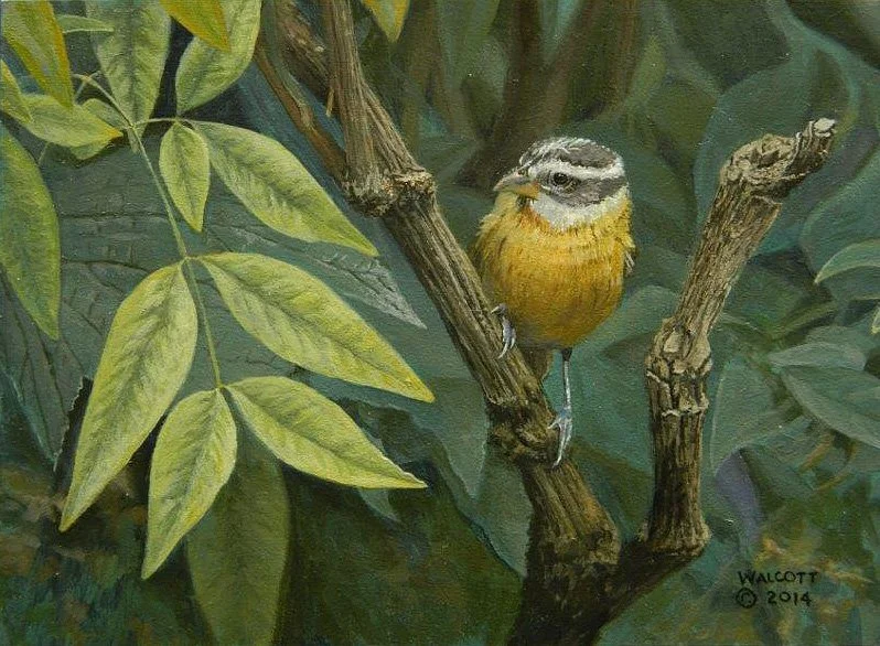  Looking-Back  acrylic, 5" x 7"