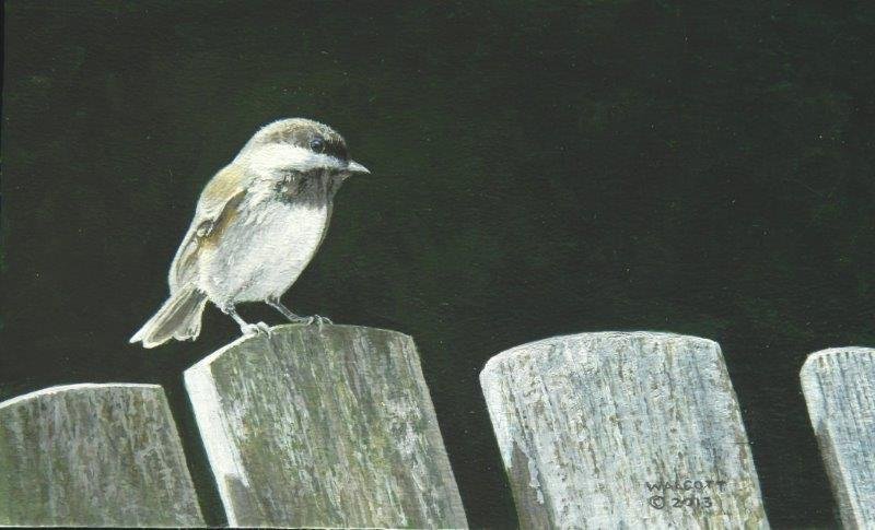  All Alone  acrylic, 5" x 8"