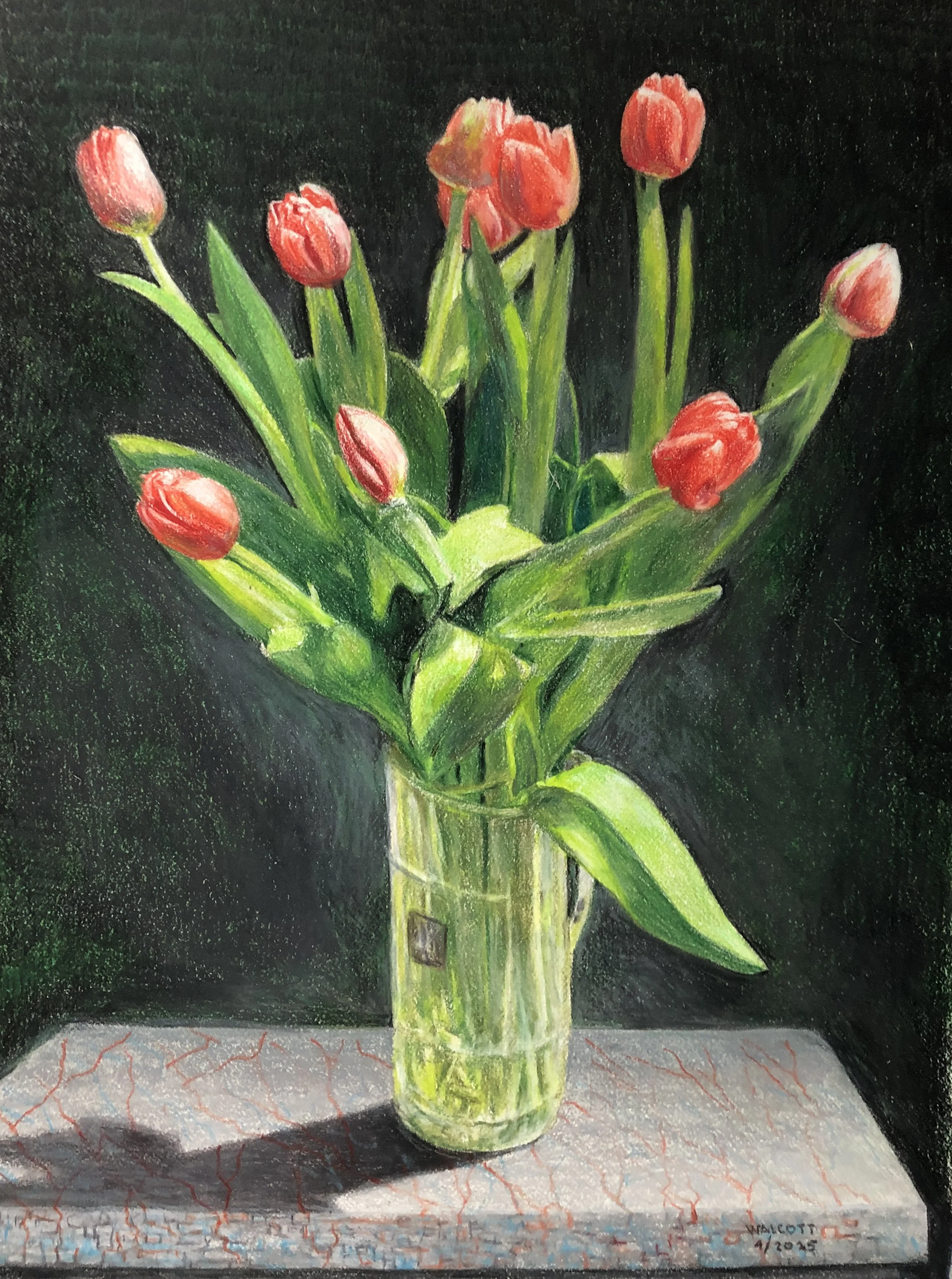  Tulips Again  colored pencil, 12" x 9"