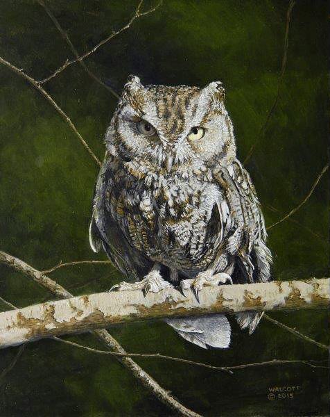  Night Owl  acrylic, 10" x 8"