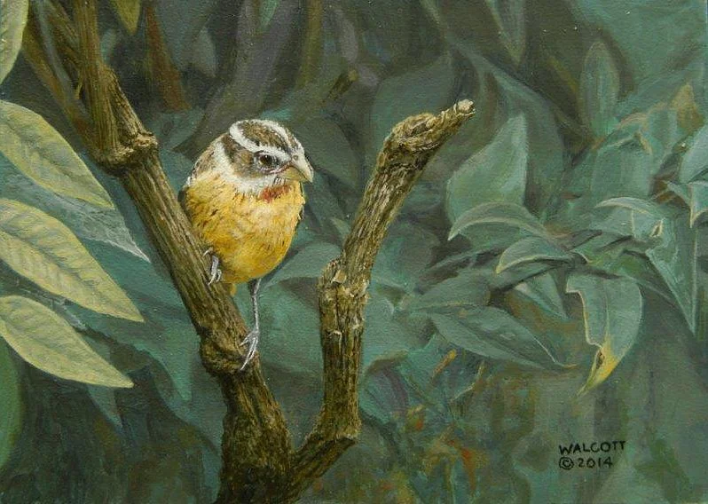  Looking Forward  acrylic, 5" x 7"