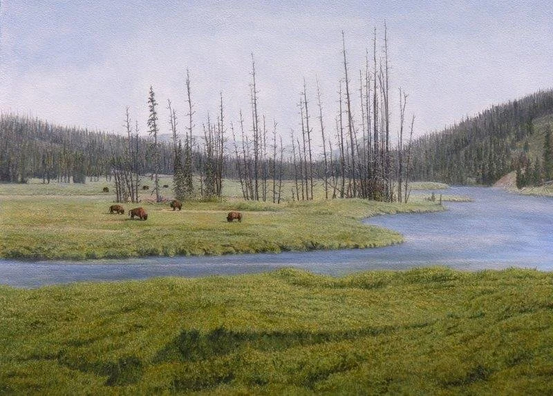  Yellowstone Scene  oil, 20" x 30"