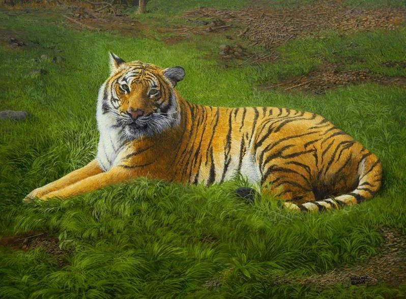  Tiger-in-the-Grass  acrylic, 12" x 16"