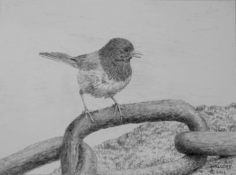  Chained  graphite, 5" x 7"