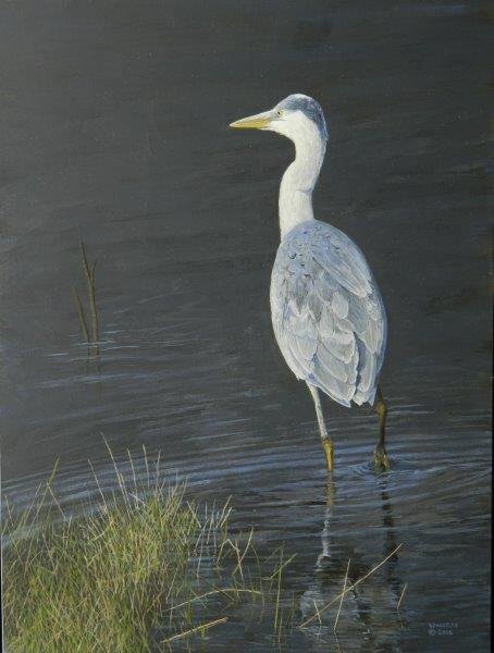  Watching  acrylic, 16" x 12"