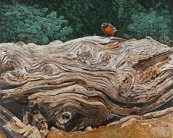  Summer Robin On Log  acrylic, 16" x 20"