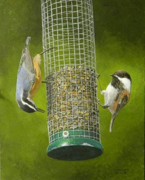  Nuthatch and Chickadee at Dinner   acrylic, 10" x 8"