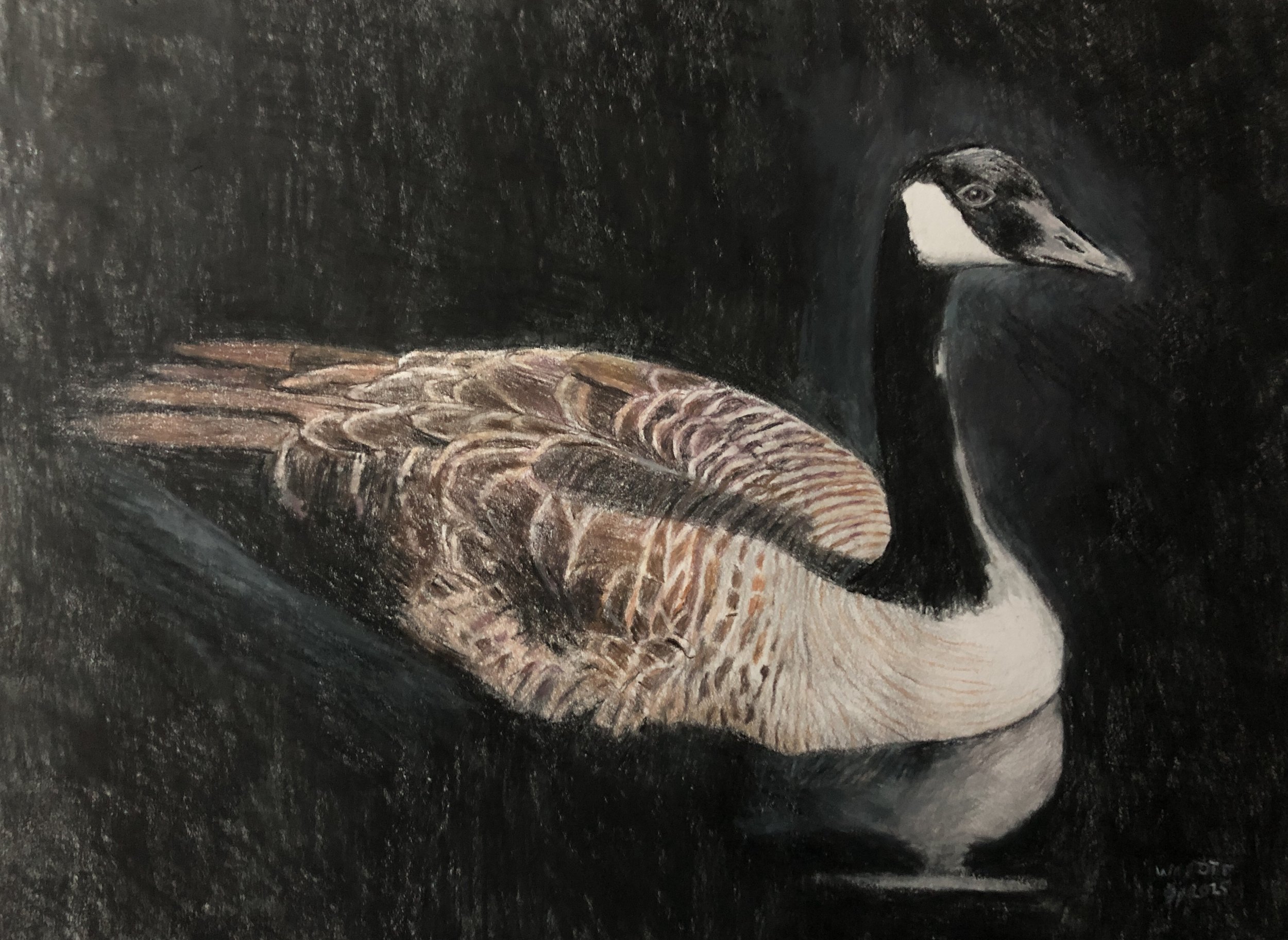  Out of Darkness  colored pencil, 9" x12"