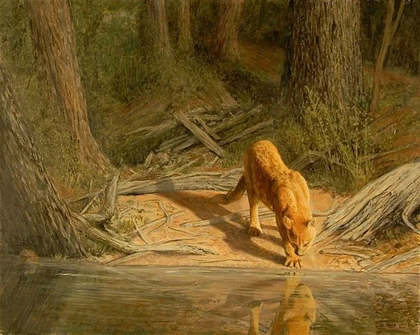  A Reflective Moment  oil, 16" x 20"