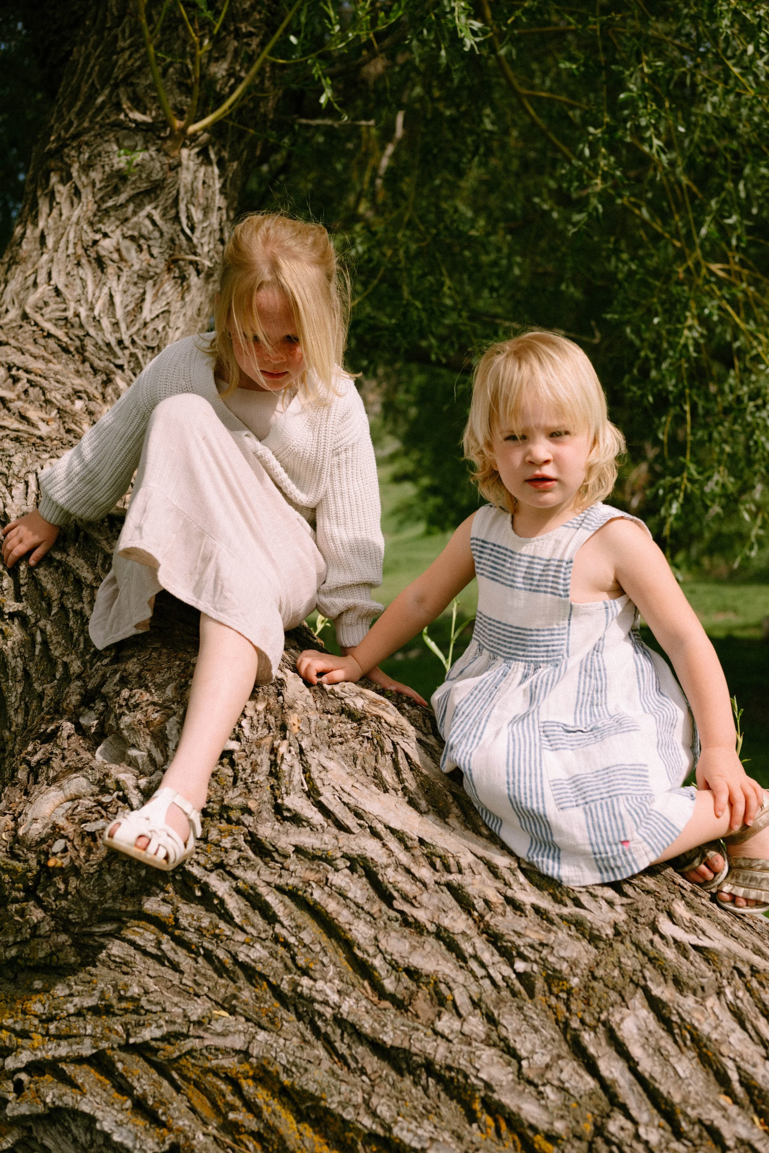 Two young girls with blonde hair on a large tree trunk outdoors, surrounded by green trees and grass during daytime, playing and being kids. 