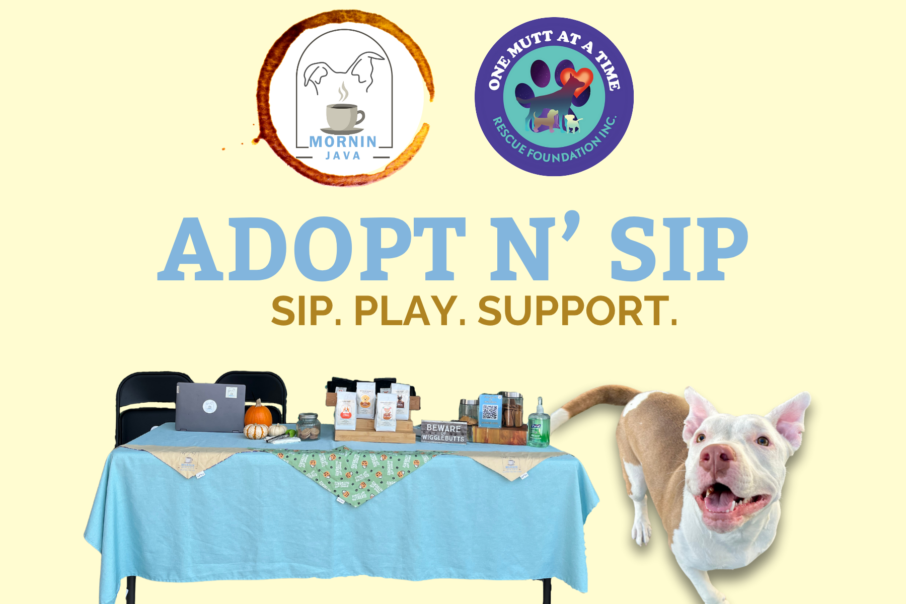 🐶 Adopt N' Sip – Pet Supplies Plus (Yorba Linda)