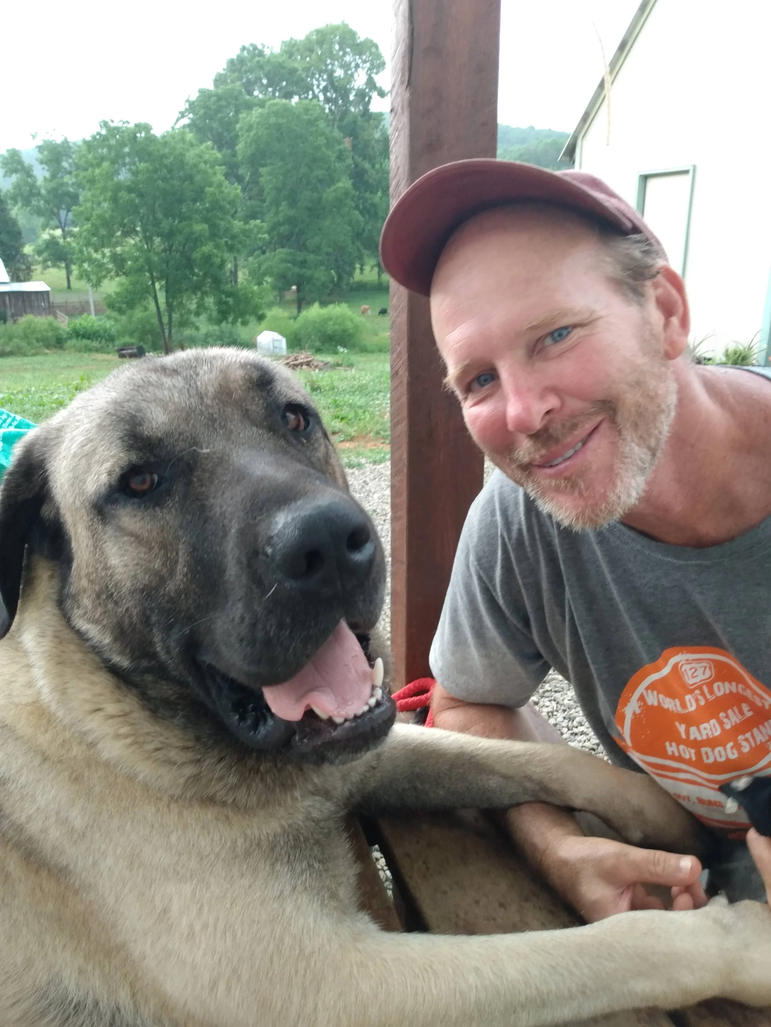 Bonding with your Anatolians