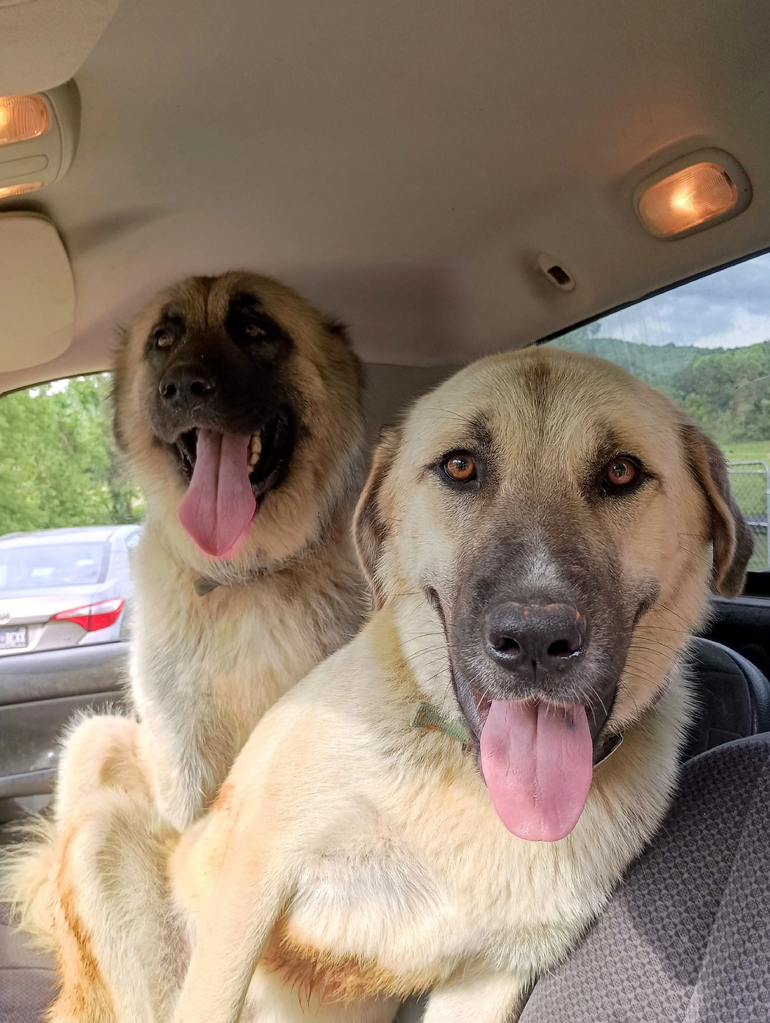 kenny and izzy.jpg
