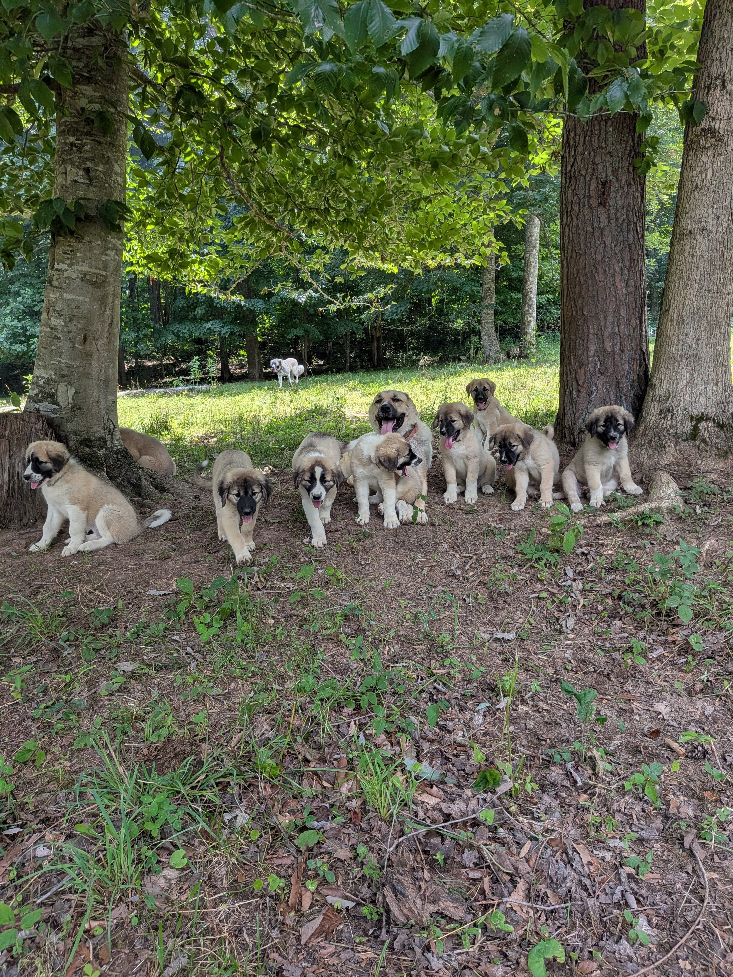 dolly group shot2.jpg