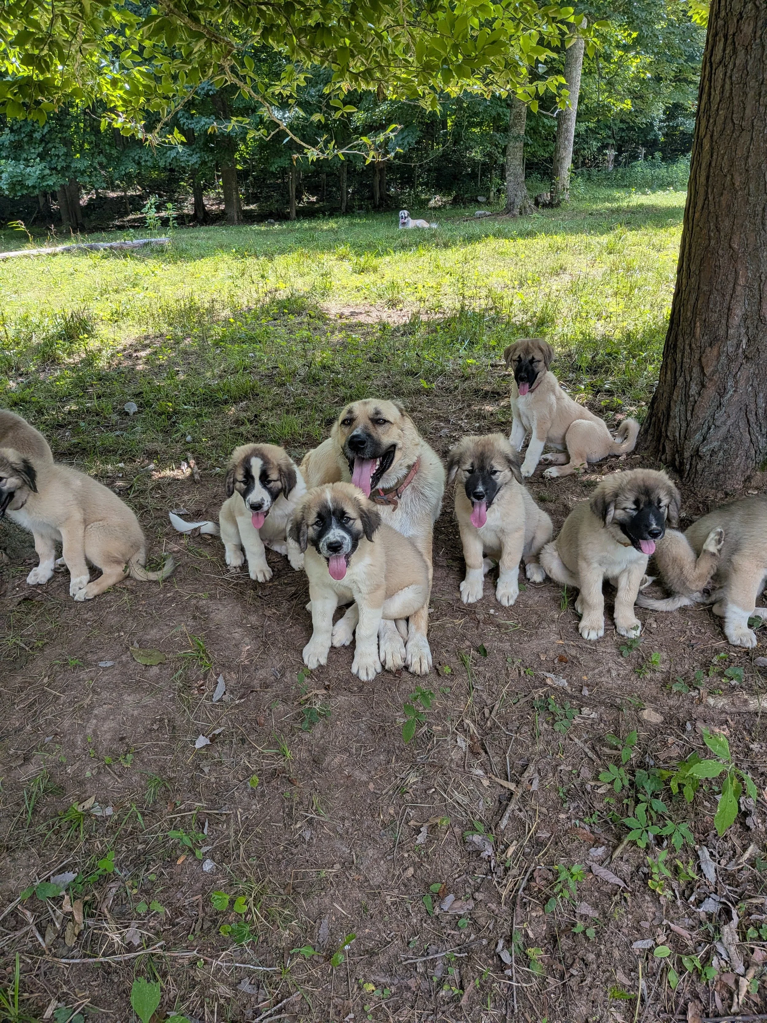 dolly group shot.jpg