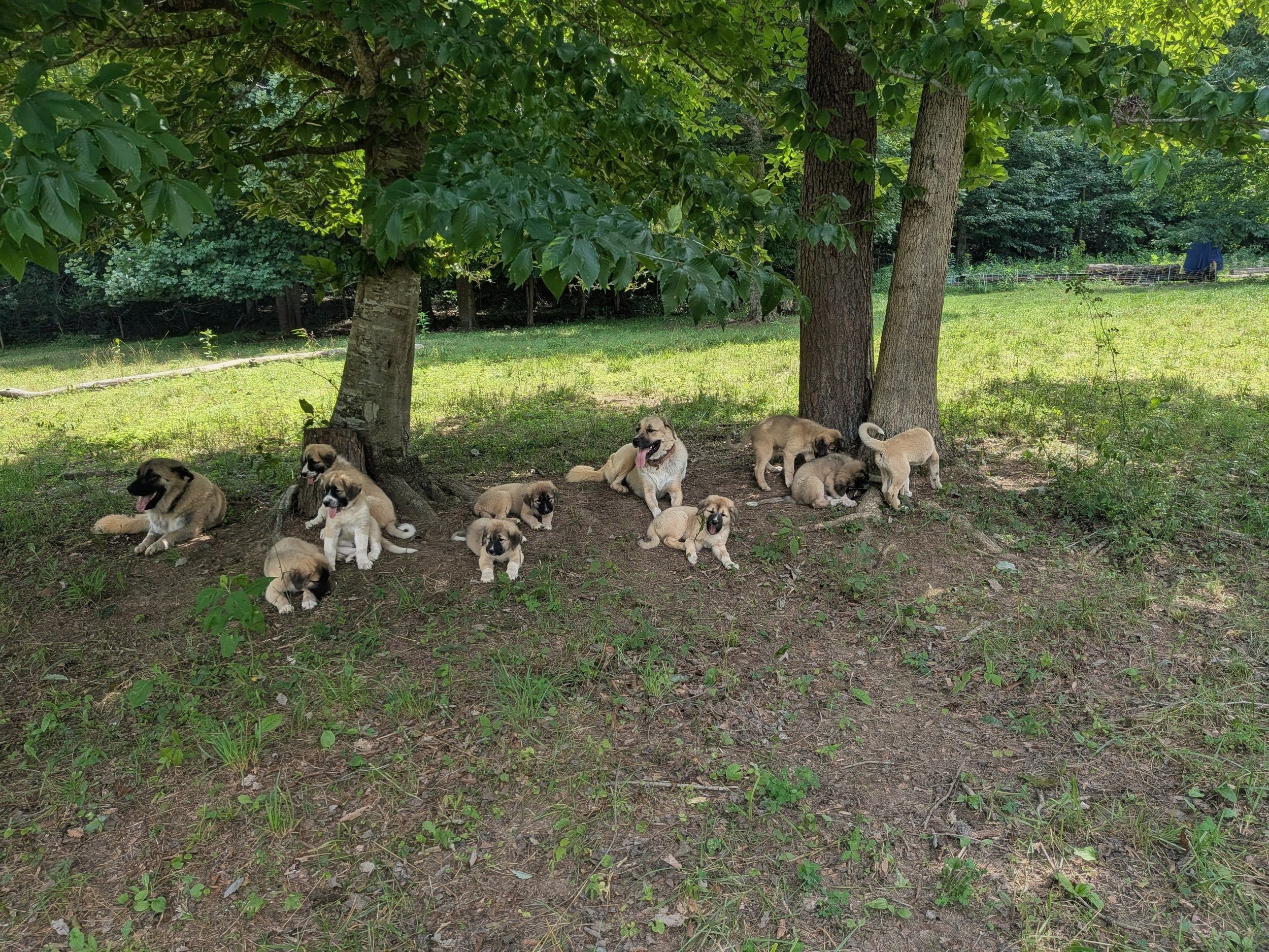family group shot.jpg