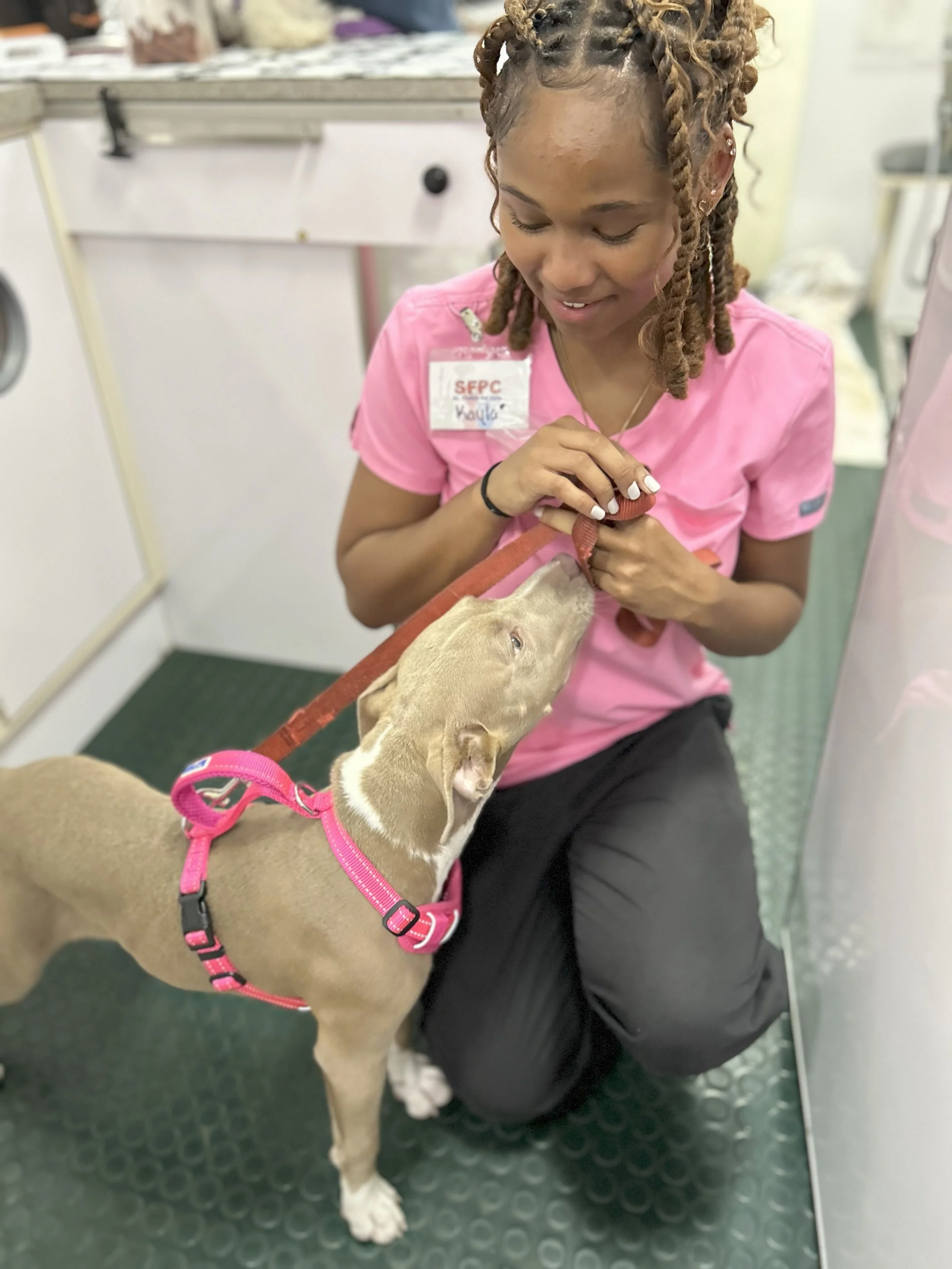 Pet Vaccine Clinic at SWAG Family Resource Center