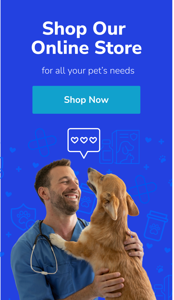 Banner reads: Shop Our Online Store for all pet's needs and leads to Blue Rabbit Pharmacy for all your pet's needs.