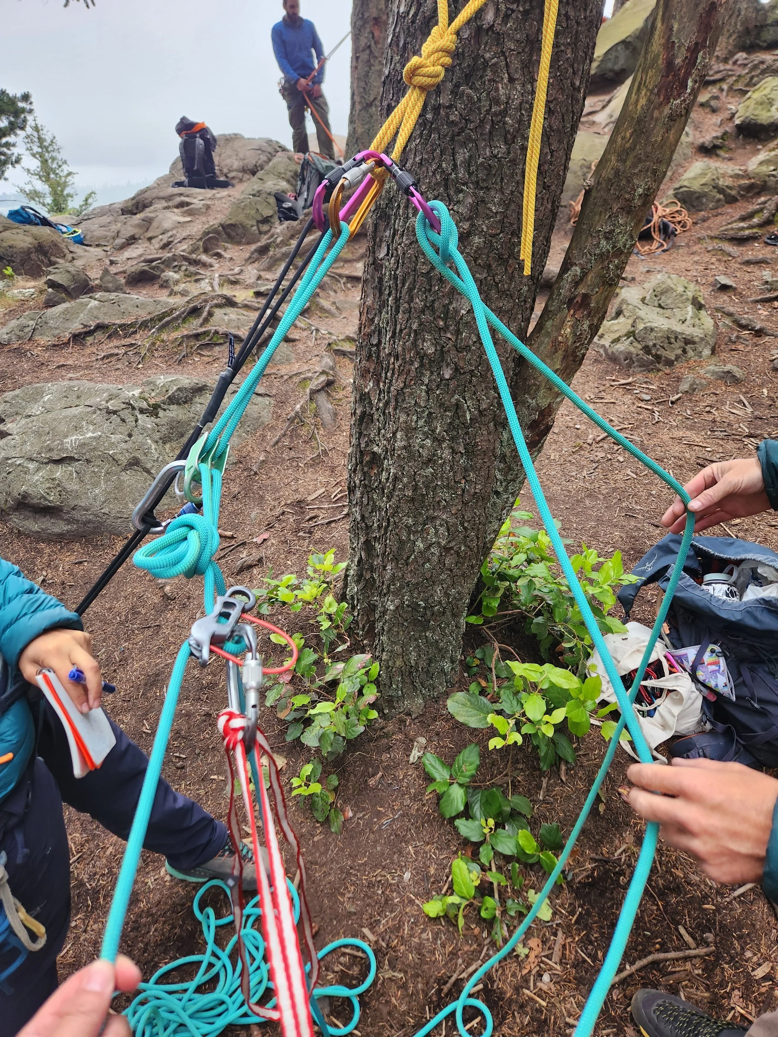 Climbing anchors and ropes tied to a tree for rock climbing or rappelling, with people preparing in a forested outdoor setting.