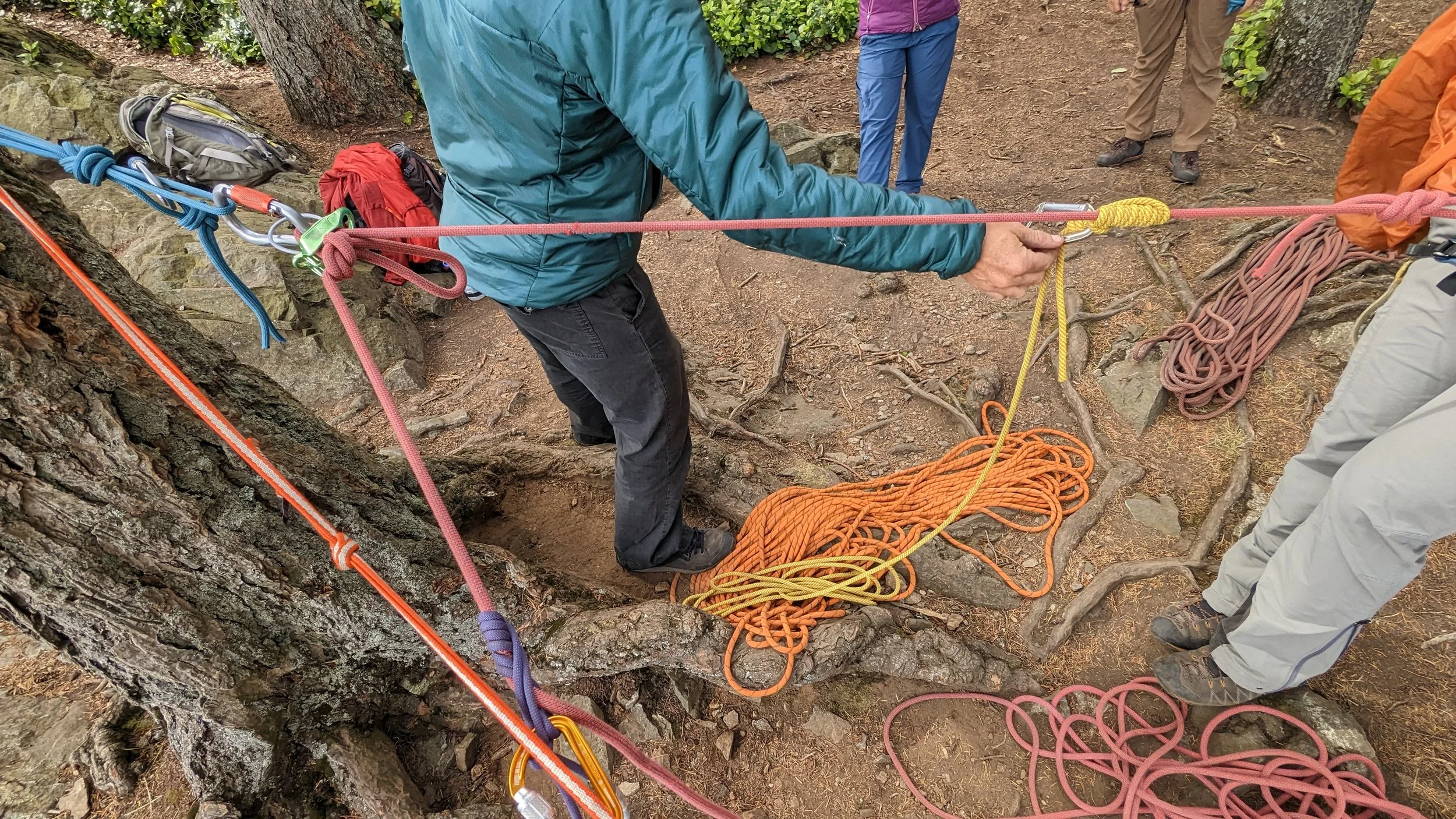 People setting up climbing ropes on a rocky outdoor trail, with trees and gear around.