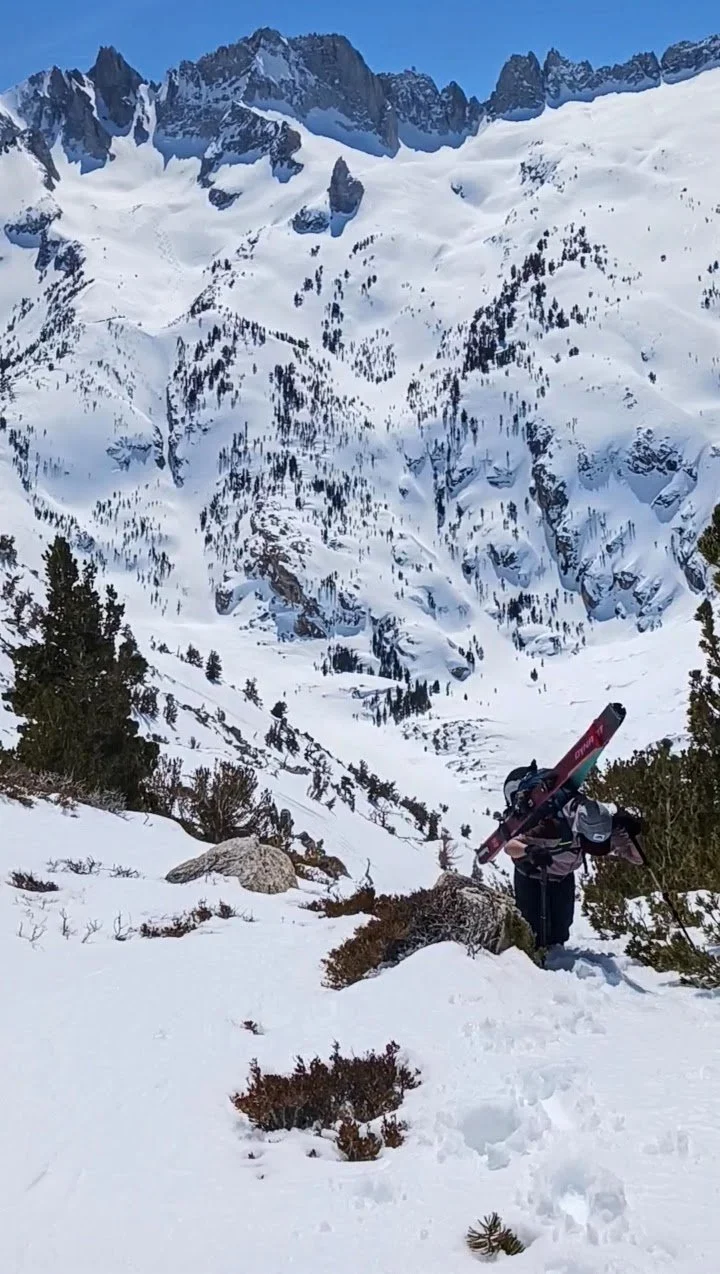 A person carrying skis on a snowy mountain trail with a backdrop of snowy mountain peaks and scattered trees.