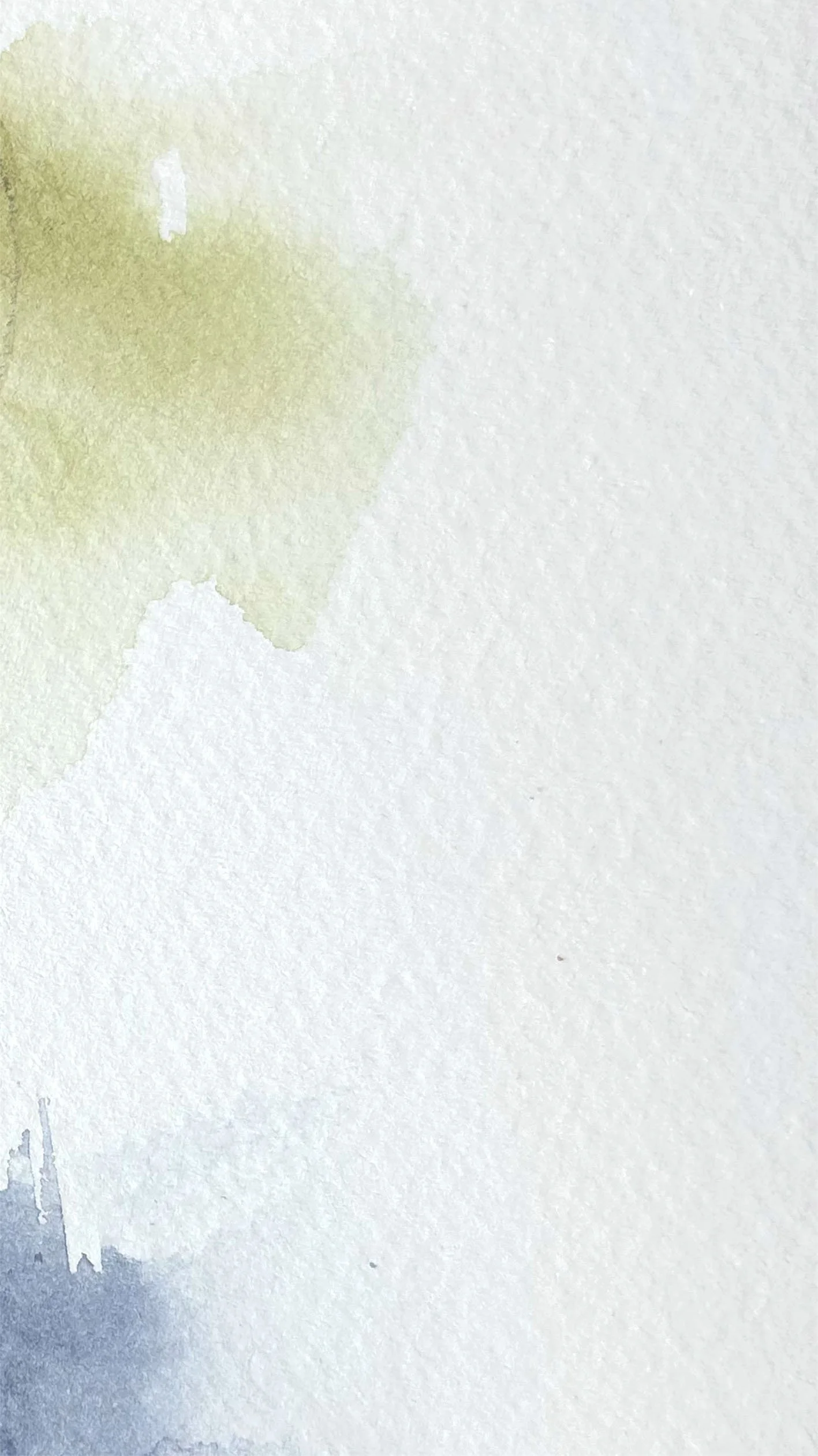 Close-up of a water stain on textured white paper or wall with some peeling paint at the bottom.