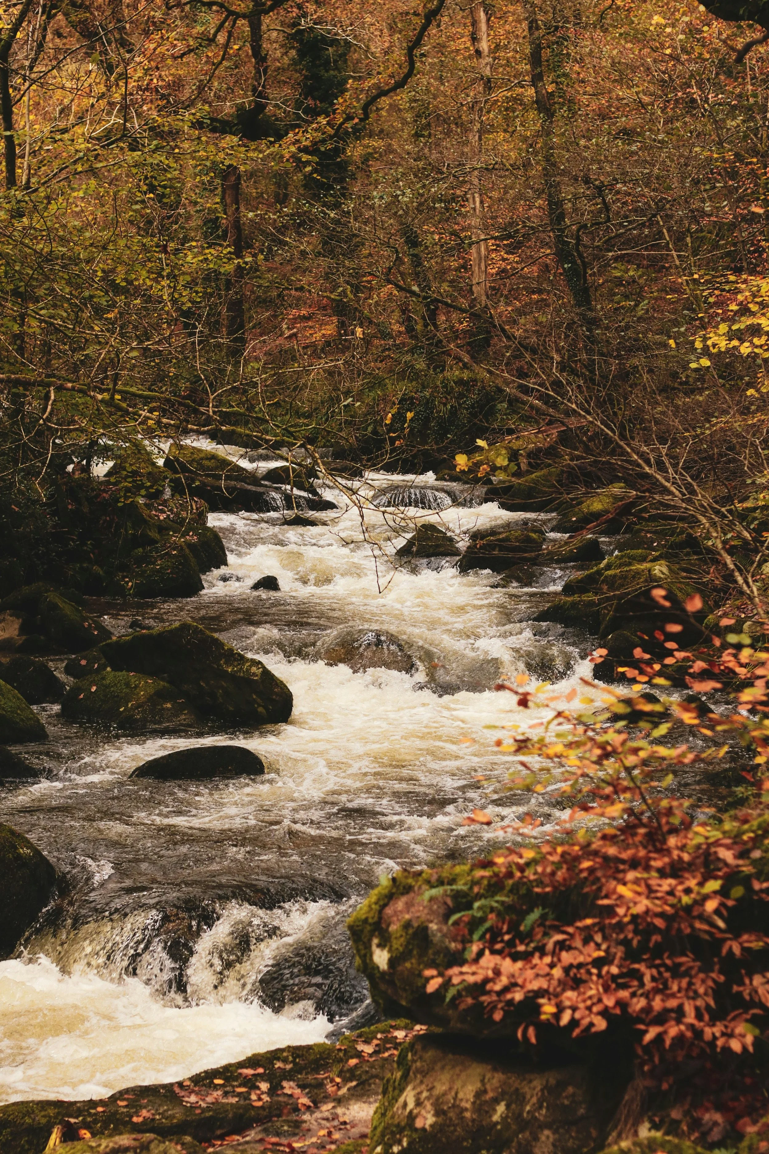 The In Between Season of Change: Coping With Life Transitions and Overthinking