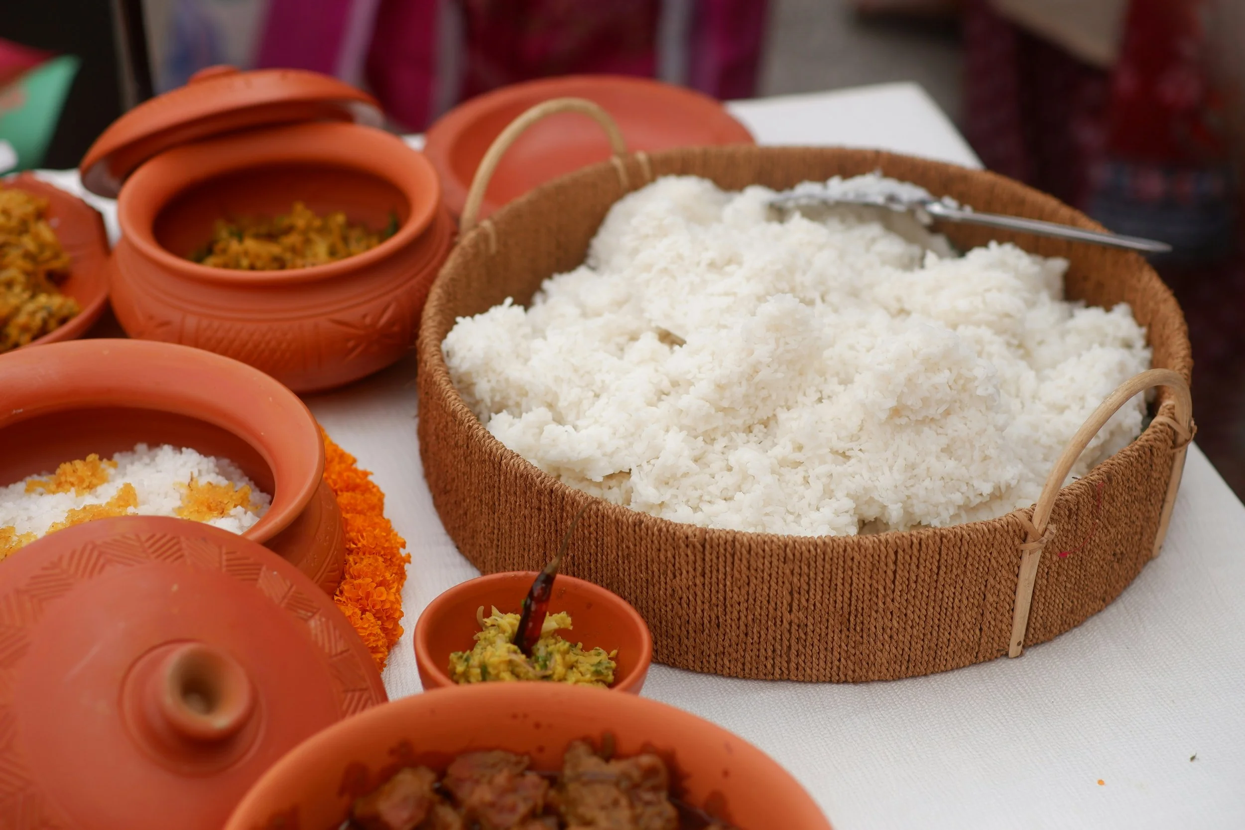 The Apology in the Rice Pot: What Generational Trauma Actually Sounds Like