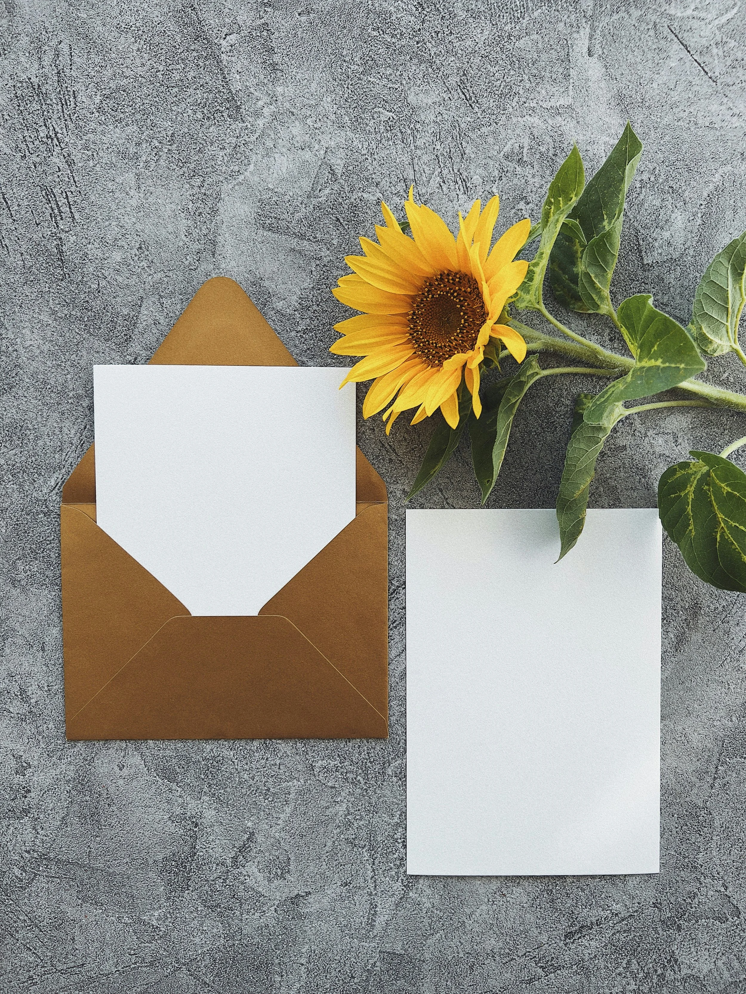 Grief, Loss, and the Days You Do Not Want to Be Here: A Therapist's Honest Letter