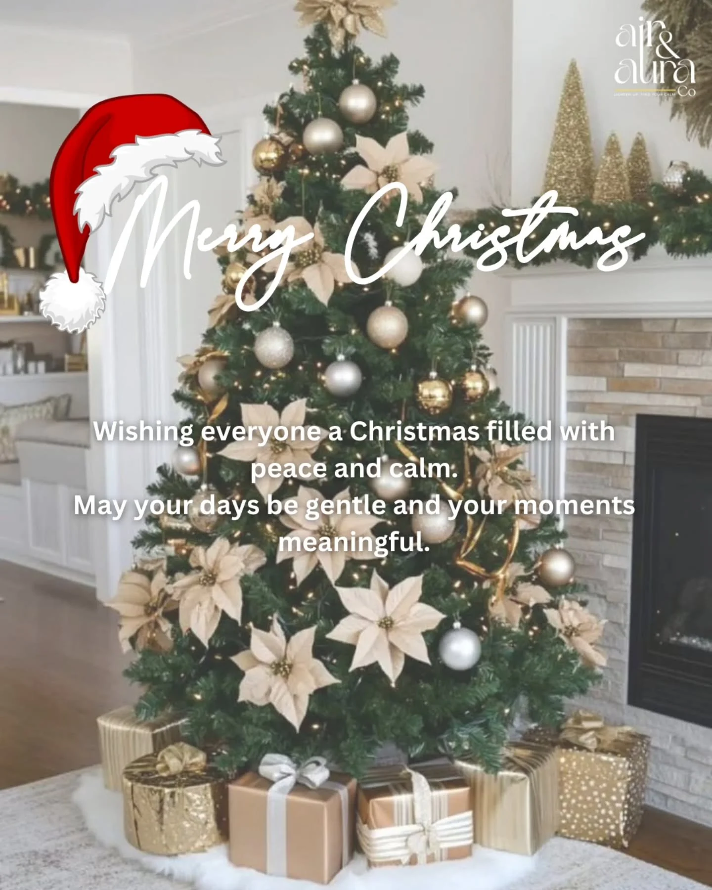 🎄Merry Christmas

Today, we simply want to say thank you.
Thank you for welcoming Air &amp; Aura Co into your lives and allowing us to support you in the ways that matter most caring for your homes, your pets, and your time.

May your Christmas be c