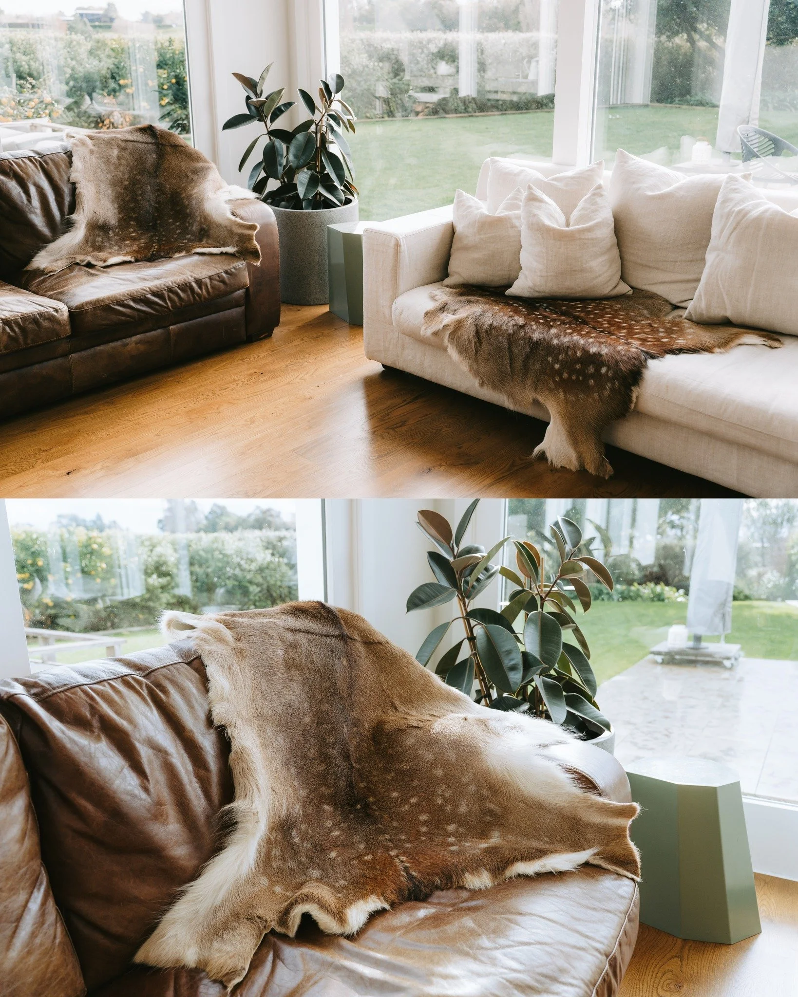 Final images for @firstlightgrassfed deer and cow hides to go on their website.

🐄  Product photography for ecommerce
🦌 Lifestyle photography to showcase in-use

Love how these turned out!
